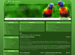 Parrot Life Joomla template